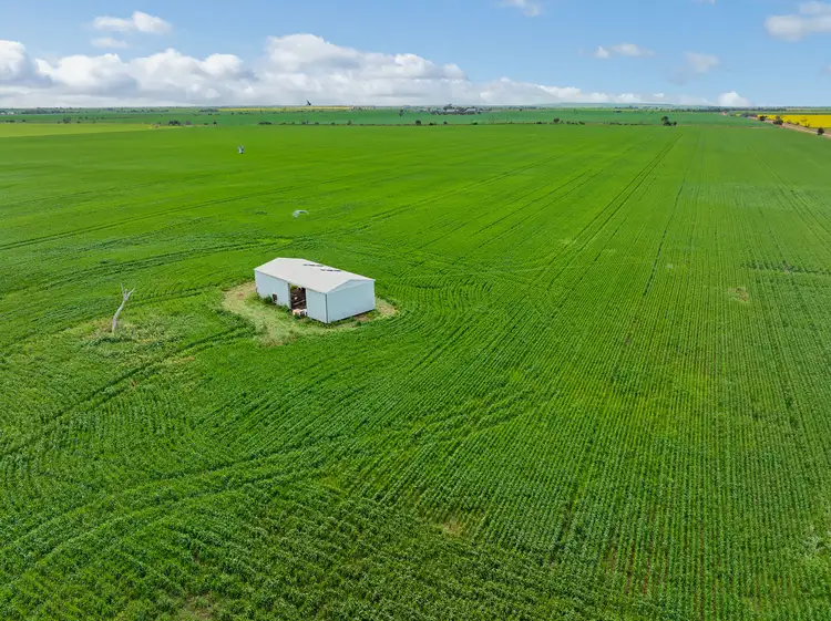 Seventh view of Homely rural property listing, 'Sellecks' Harris Road, Wasleys SA 5400