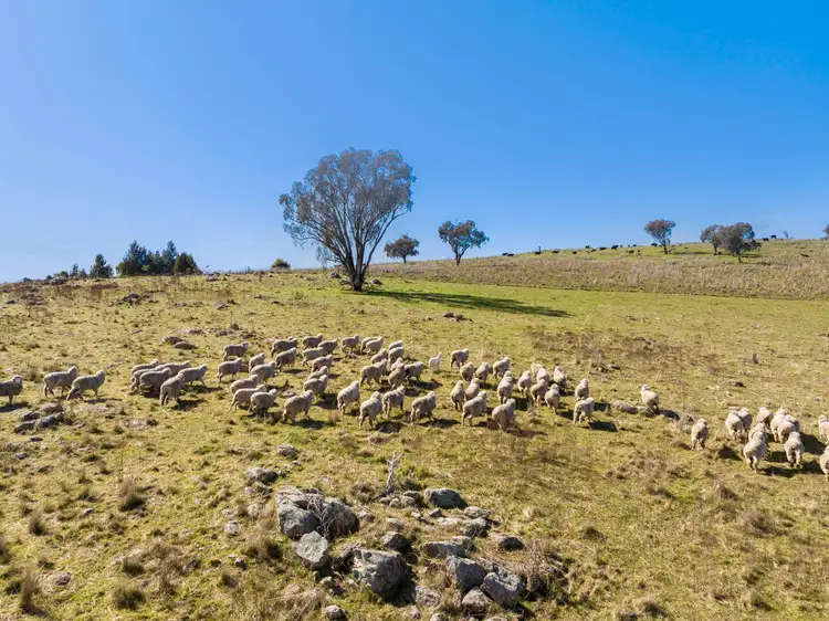 Fourth view of Homely rural property listing, "Riverview" Brial Road, Boorowa NSW 2586