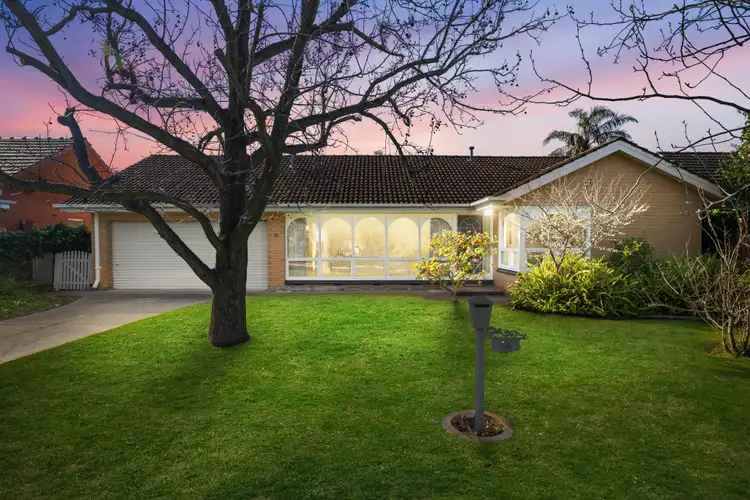 19 Leander Avenue, Novar Gardens SA 5040