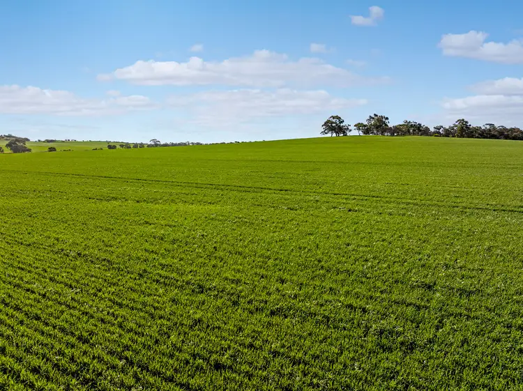 Main view of Homely rural property listing, 'Pearce's' Gladstone - Beetaloo Road, Gladstone SA 5473