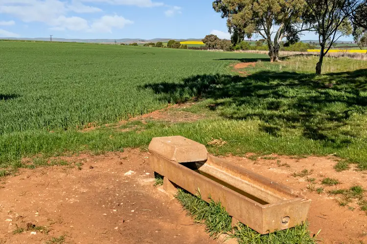 Fourth view of Homely rural property listing, 'Pearce's' Gladstone - Beetaloo Road, Gladstone SA 5473