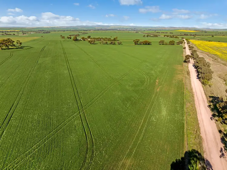 Fifth view of Homely rural property listing, 'Pearce's' Gladstone - Beetaloo Road, Gladstone SA 5473