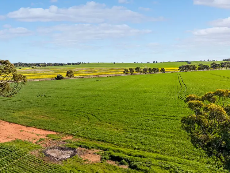 Seventh view of Homely rural property listing, 'Pearce's' Gladstone - Beetaloo Road, Gladstone SA 5473