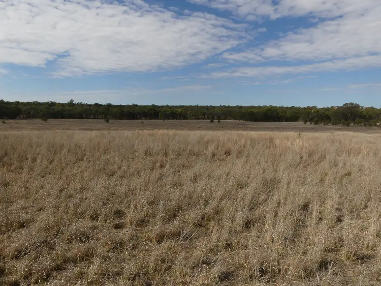 'BROOKFIELD' Carrington Road, Roma QLD 4455