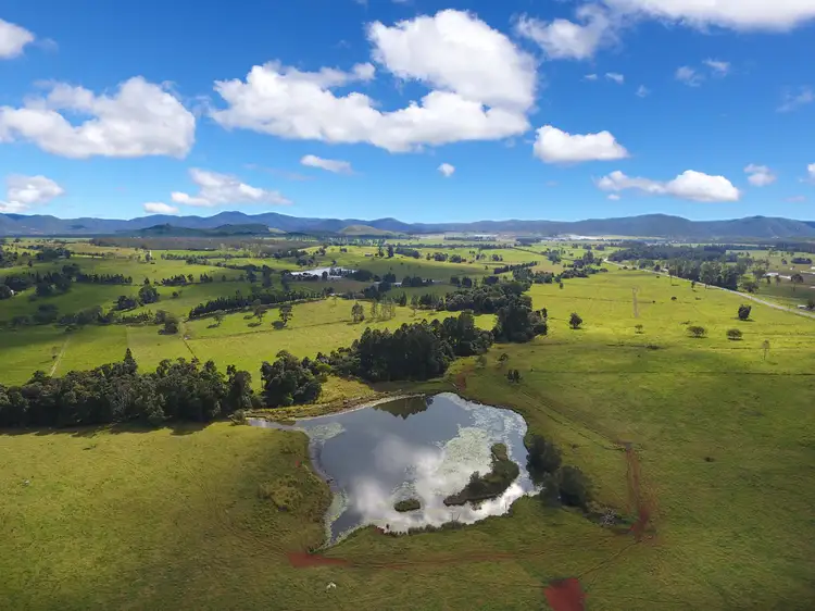 Main view of Homely rural property listing, 644 Malanda Atherton Road, Upper Barron QLD 4883