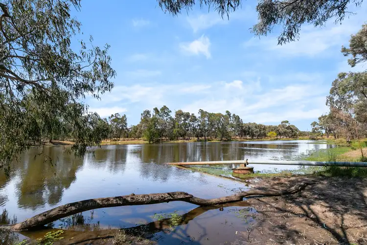 Fifth view of Homely rural property listing, 949 Selma Road, Emerald QLD 4720