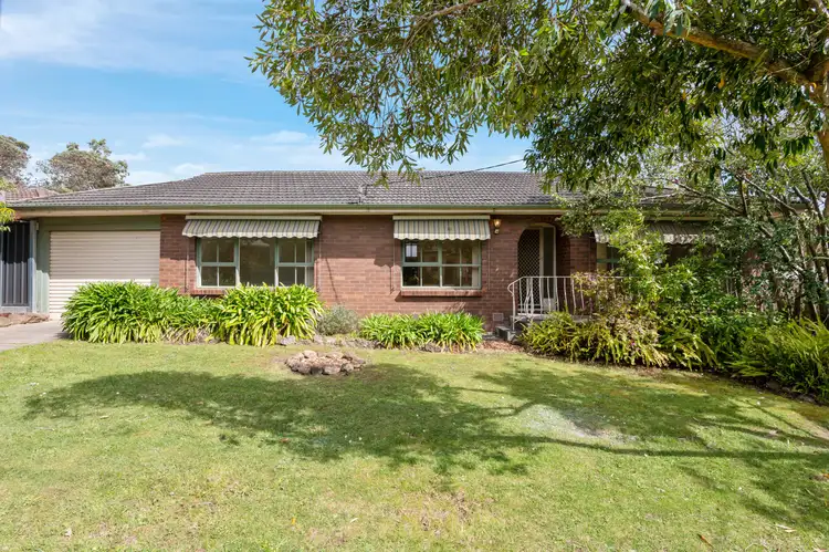 Main view of Homely house listing, 10 Hunter Street, Croydon VIC 3136