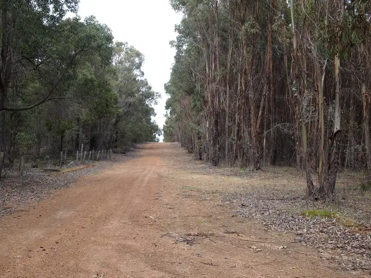 Sansom Plantation, 133 Lowdon-Grimwade Road