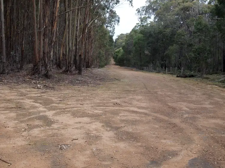 Third view of Homely rural property listing, Sansom Plantation, 133 Lowdon-Grimwade Road, Donnybrook WA 6239