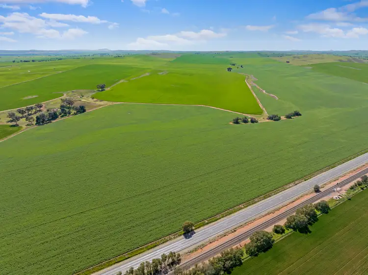 Main view of Homely rural property listing, 'Yangya' & '96' Wilkins Highway, Gladstone SA 5473