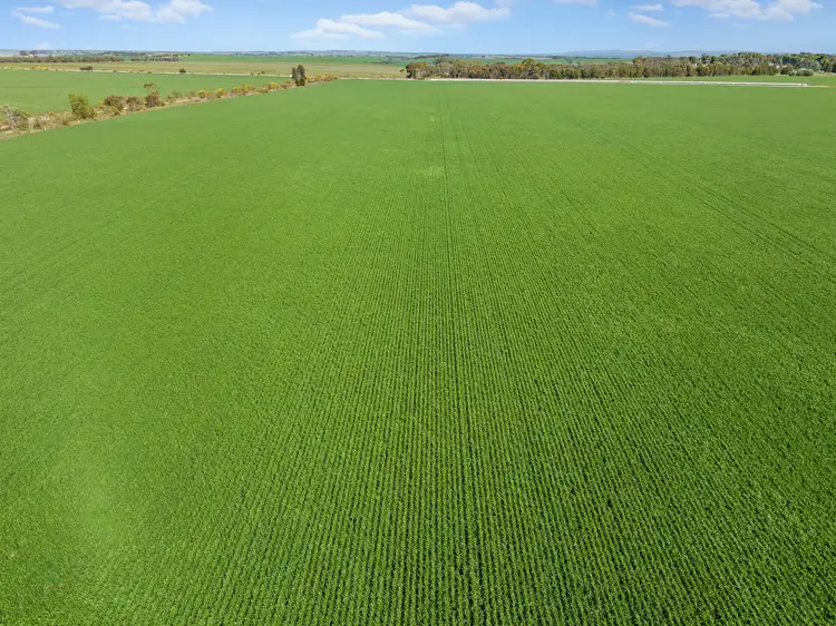 Second view of Homely rural property listing, 'Yangya' & '96' Wilkins Highway, Gladstone SA 5473