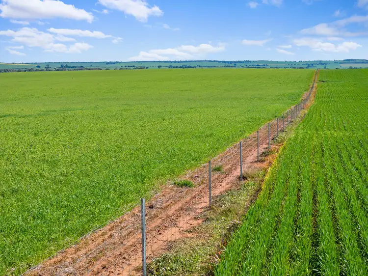 Third view of Homely rural property listing, 'Yangya' & '96' Wilkins Highway, Gladstone SA 5473