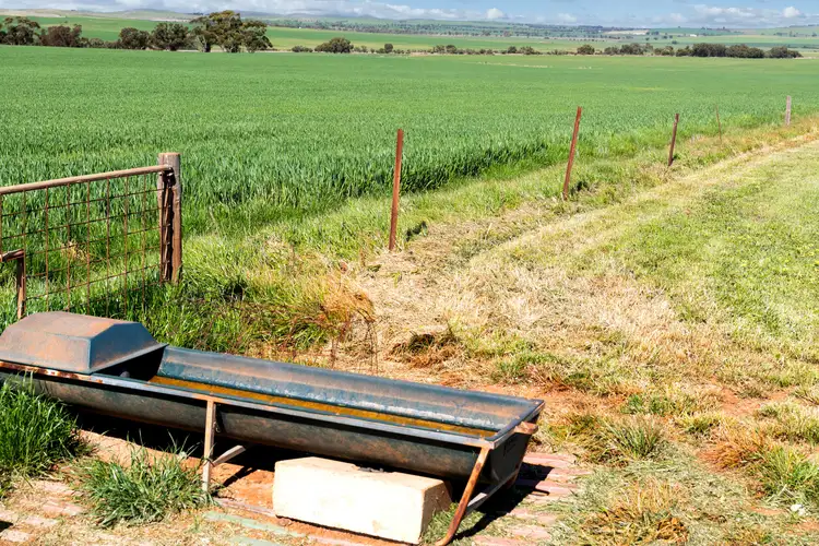 Fifth view of Homely rural property listing, 'Yangya' & '96' Wilkins Highway, Gladstone SA 5473