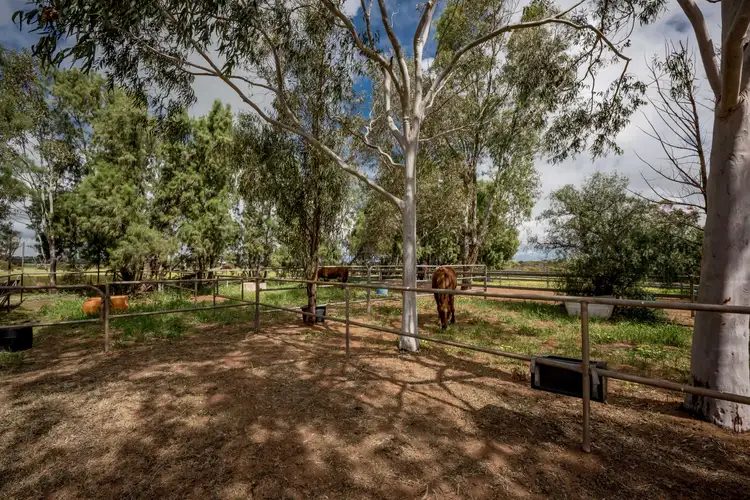 5 Hill River Way, Moonyoonooka WA 6532