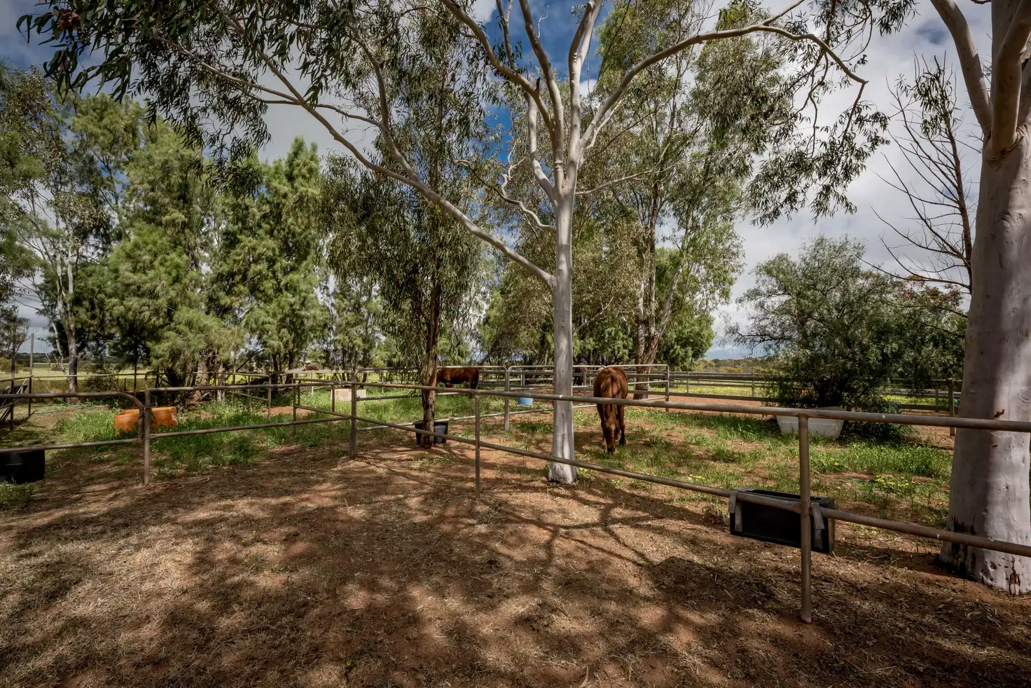 Main view of Homely house listing, 5 Hill River Way, Moonyoonooka WA 6532