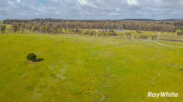 Sixth view of Homely land listing, 395 Patons Road, Axe Creek VIC 3551