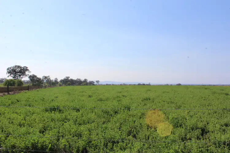 Seventh view of Homely rural property listing, 103 Canningvale Road, Canningvale QLD 4370