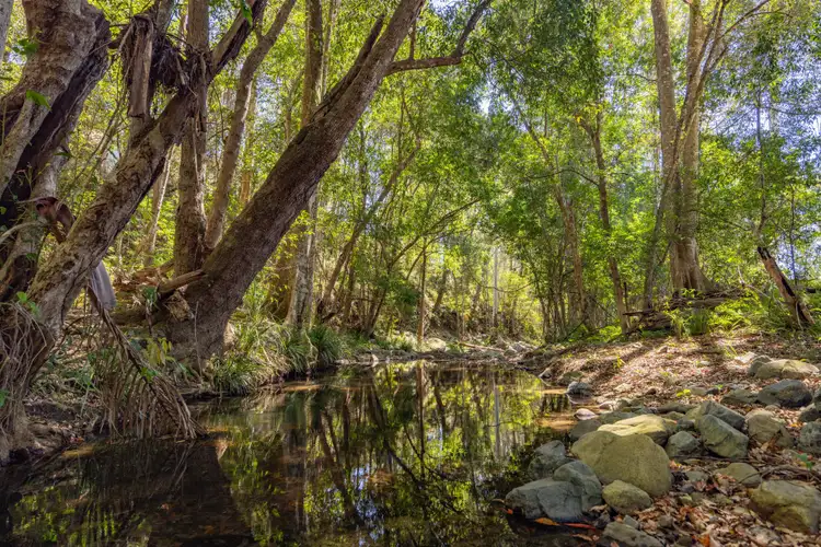 Fifth view of Homely rural property listing, Lot 2/948 Aherns Road, Conondale QLD 4552