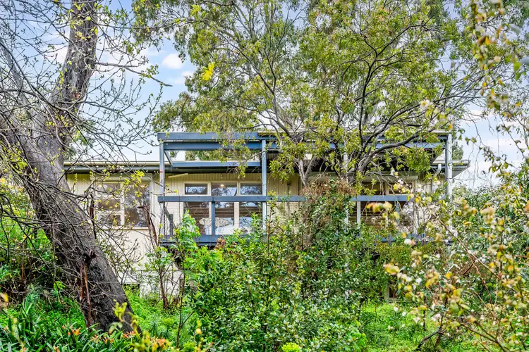 Second view of Homely house listing, 7 Christine Avenue, Belair SA 5052