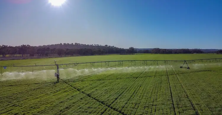 Main view of Homely rural property listing, 10 Condamine River Road, Pratten QLD 4370