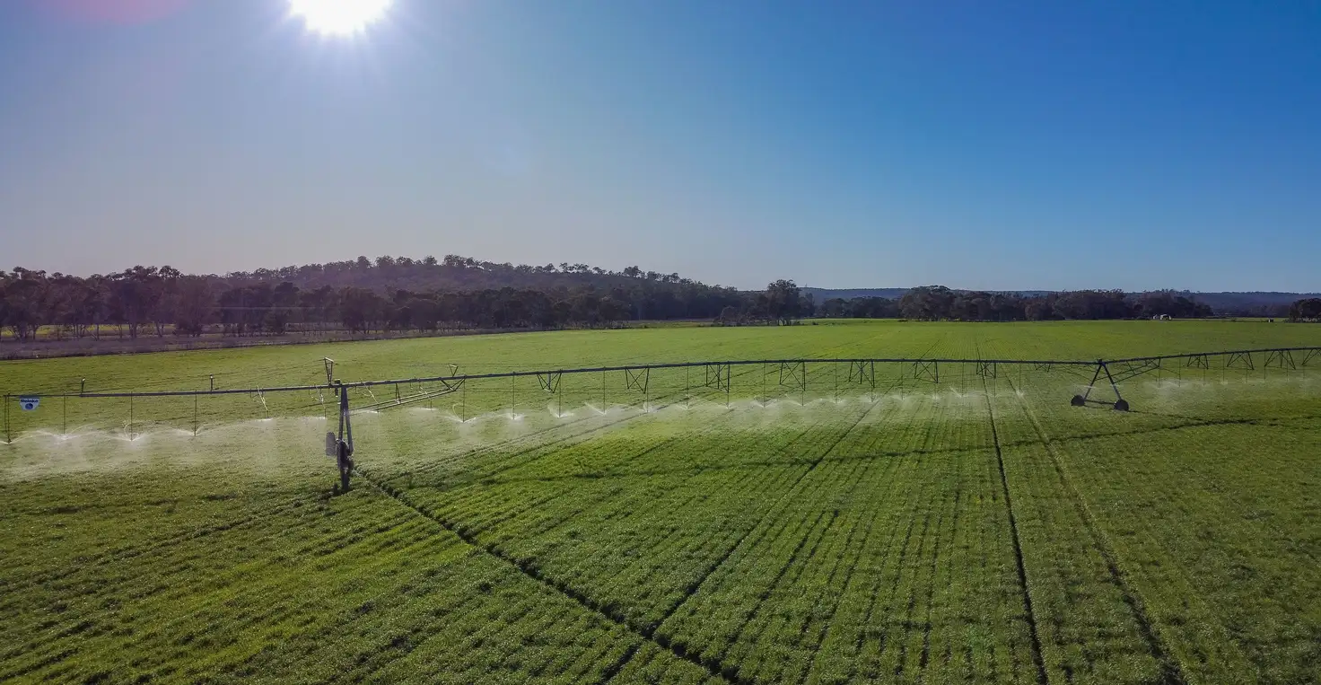 Main view of Homely rural property listing, 10 Condamine River Road, Pratten QLD 4370