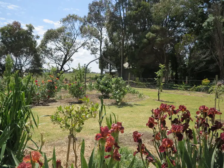 Fifth view of Homely house listing, 6 Irvings Lane, Koroit VIC 3282