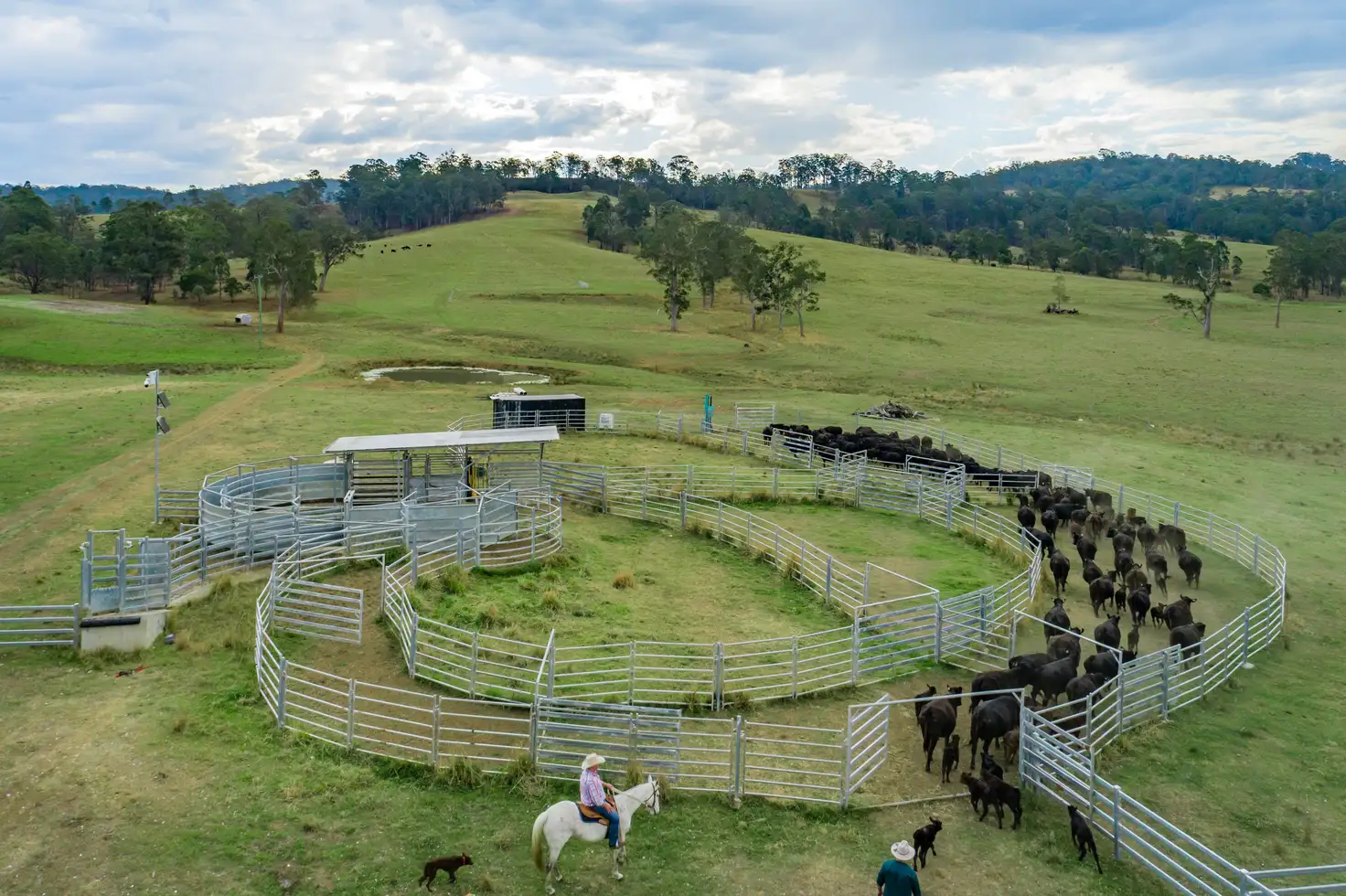 Main view of Homely rural property listing, 276 Farm Road, Bonalbo NSW 2469