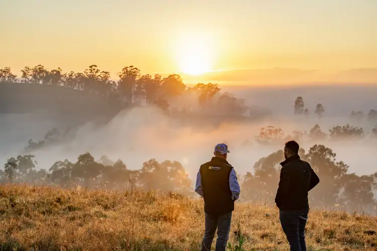 Sixth view of Homely rural property listing, 276 Farm Road, Bonalbo NSW 2469