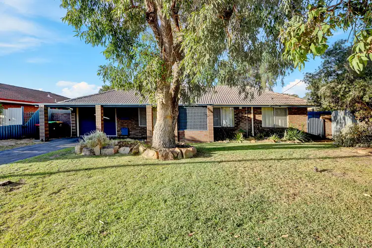 Main view of Homely house listing, 11 Cutter Crescent, Beldon WA 6027