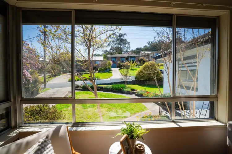 Fifth view of Homely house listing, 213 Bernhardt Street, East Albury NSW 2640