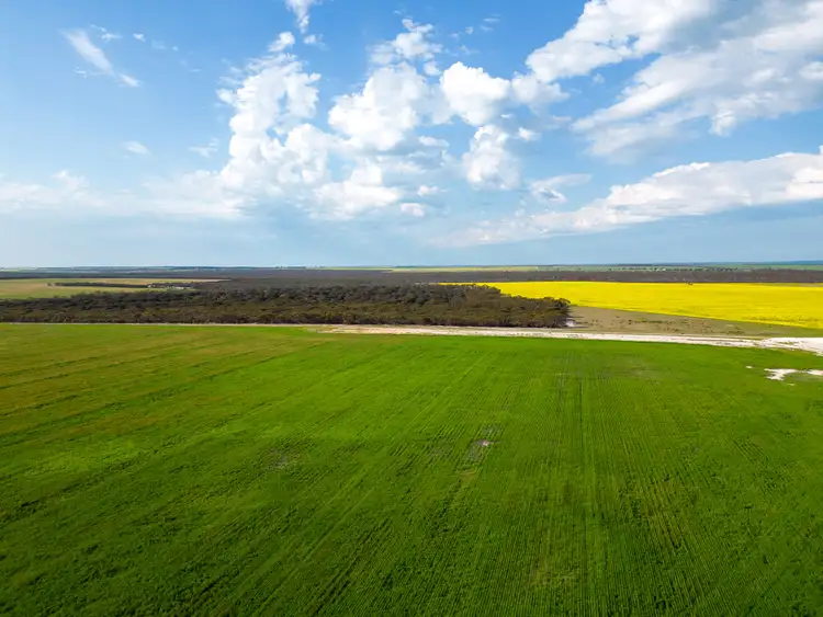 Second view of Homely rural property listing, "Pamdon" 450 White Road, Jerramungup WA 6337