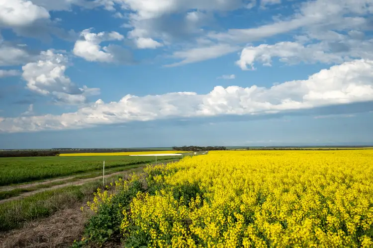 Third view of Homely rural property listing, "Pamdon" 450 White Road, Jerramungup WA 6337