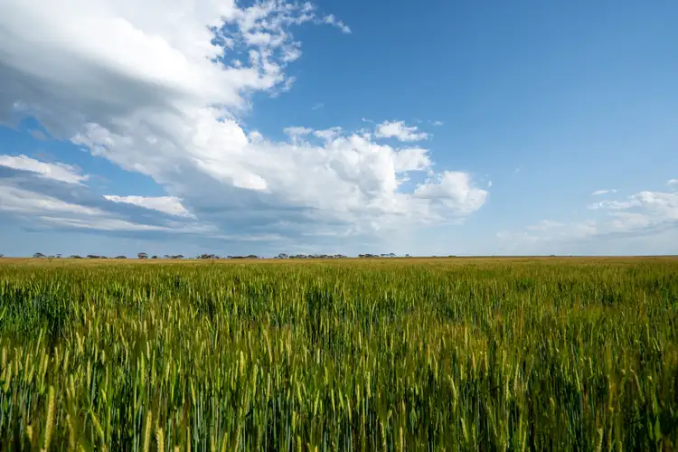 Fourth view of Homely rural property listing, "Pamdon" 450 White Road, Jerramungup WA 6337