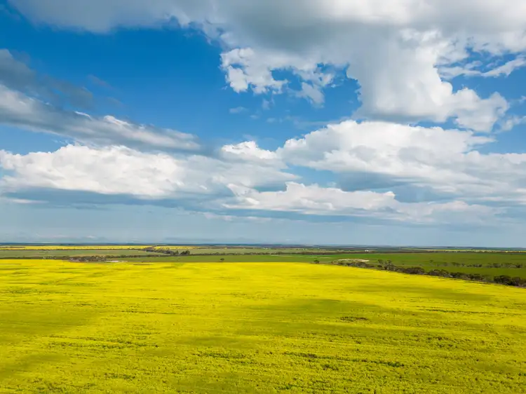 Fifth view of Homely rural property listing, "Pamdon" 450 White Road, Jerramungup WA 6337