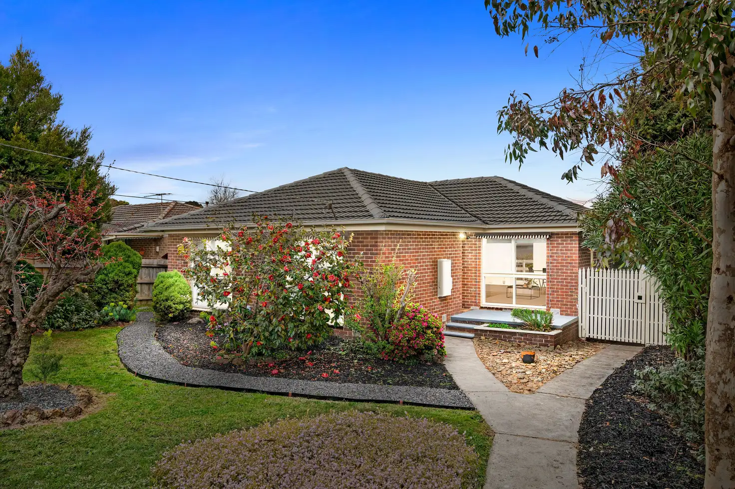Main view of Homely house listing, 14 Juliana Court, Croydon VIC 3136