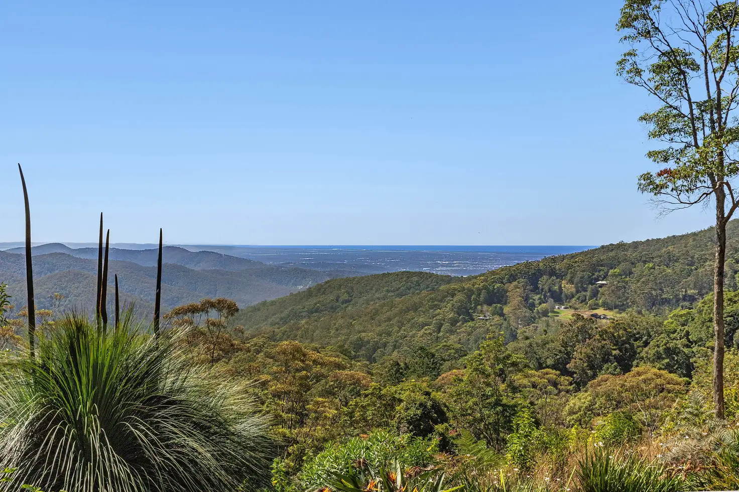 Main view of Homely house listing, 87-95 Alpine Terrace, Tamborine Mountain QLD 4272