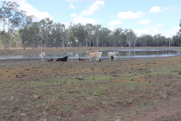 Sixth view of Homely rural property listing, 217 Huths Road, Woodmillar, Gayndah QLD 4625