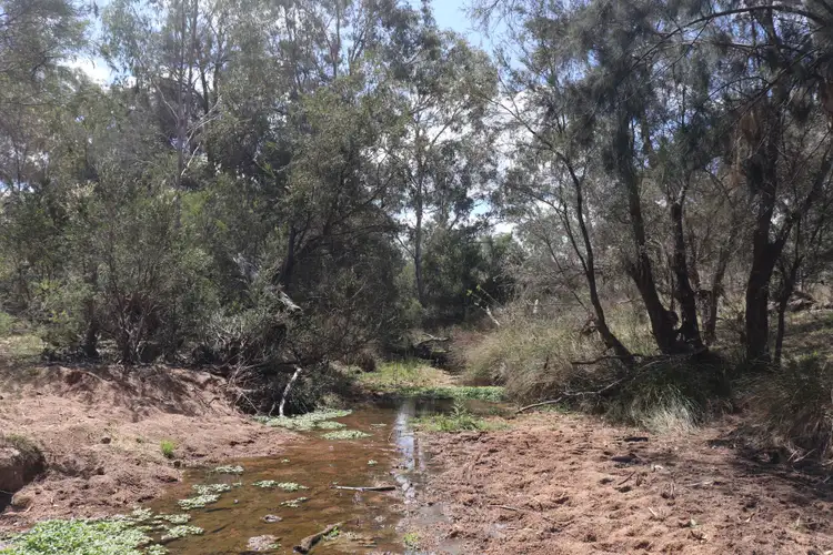 Seventh view of Homely rural property listing, 217 Huths Road, Woodmillar, Gayndah QLD 4625