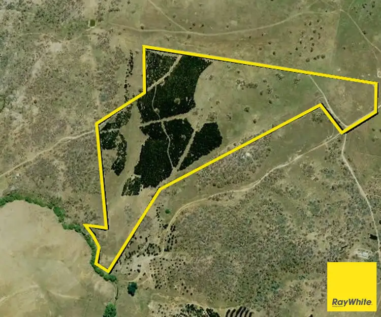 Second view of Homely land listing, 757 Caddigat Road, Dry Plain NSW 2630