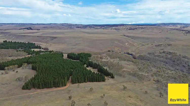 Fourth view of Homely land listing, 757 Caddigat Road, Dry Plain NSW 2630