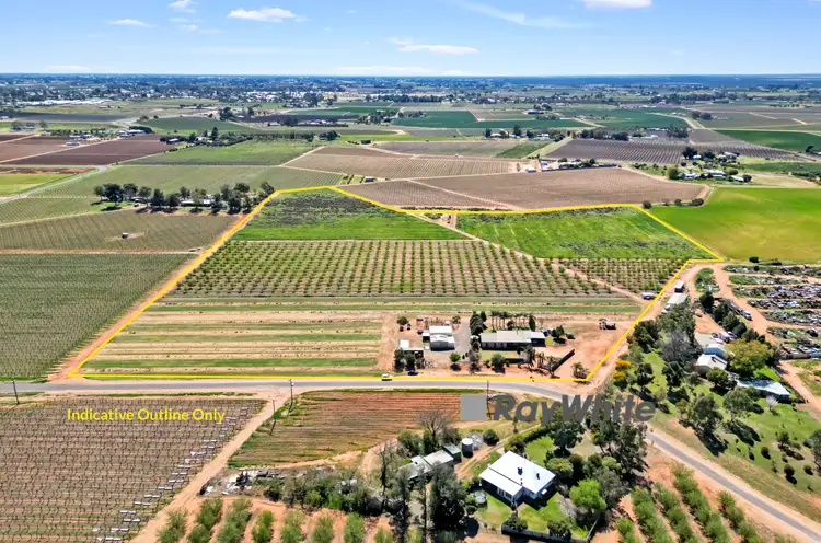 169 Dumosa Street, Red Cliffs VIC 3496
