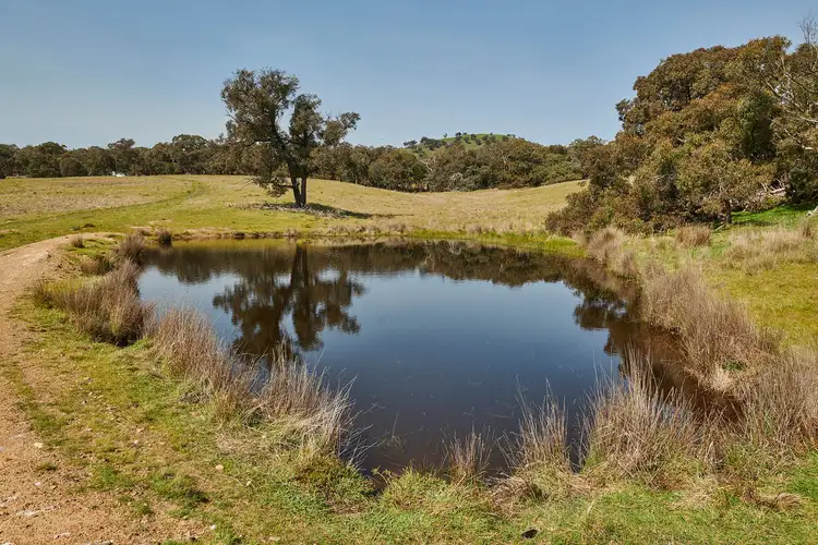 204 Hayes Gully Road, Tooborac VIC 3522
