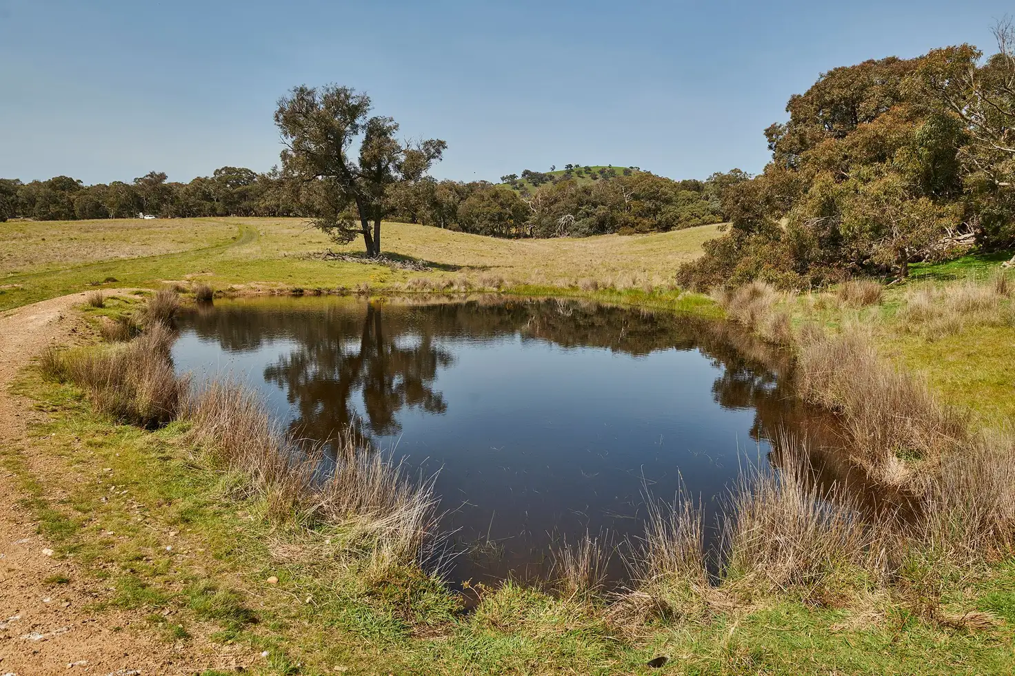 Main view of Homely land listing, 204 Hayes Gully Road, Tooborac VIC 3522