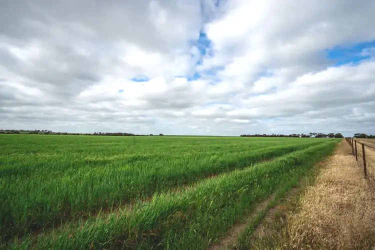 Second view of Homely rural property listing, "Carries" 998 Pingrup-Lake Grace Road, Pingrup WA 6343