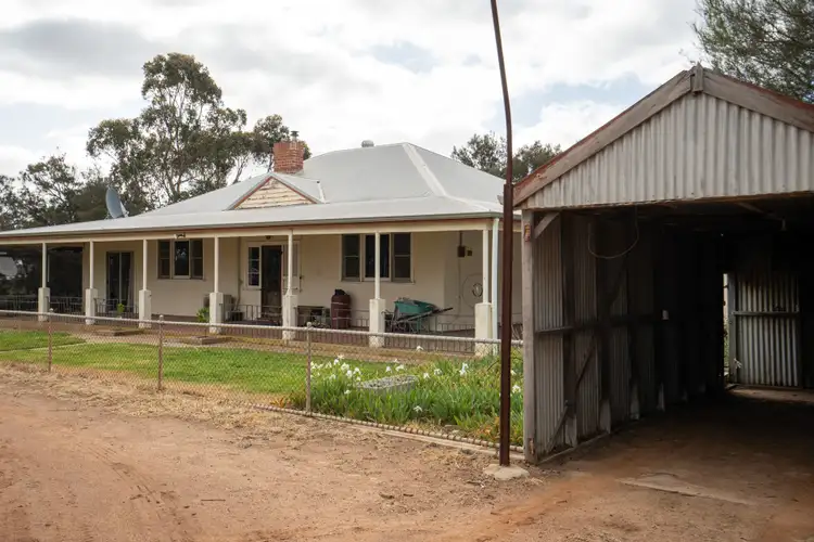 Seventh view of Homely rural property listing, "Carries" 998 Pingrup-Lake Grace Road, Pingrup WA 6343