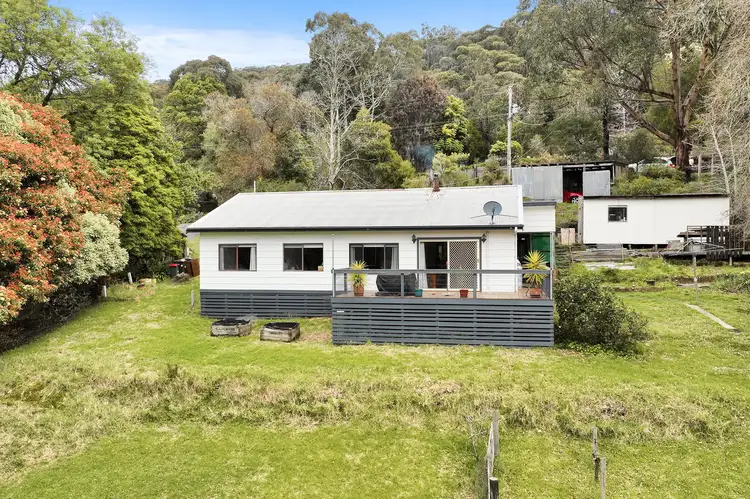 Main view of Homely house listing, 491 Neerim North Noojee Road, Noojee VIC 3833