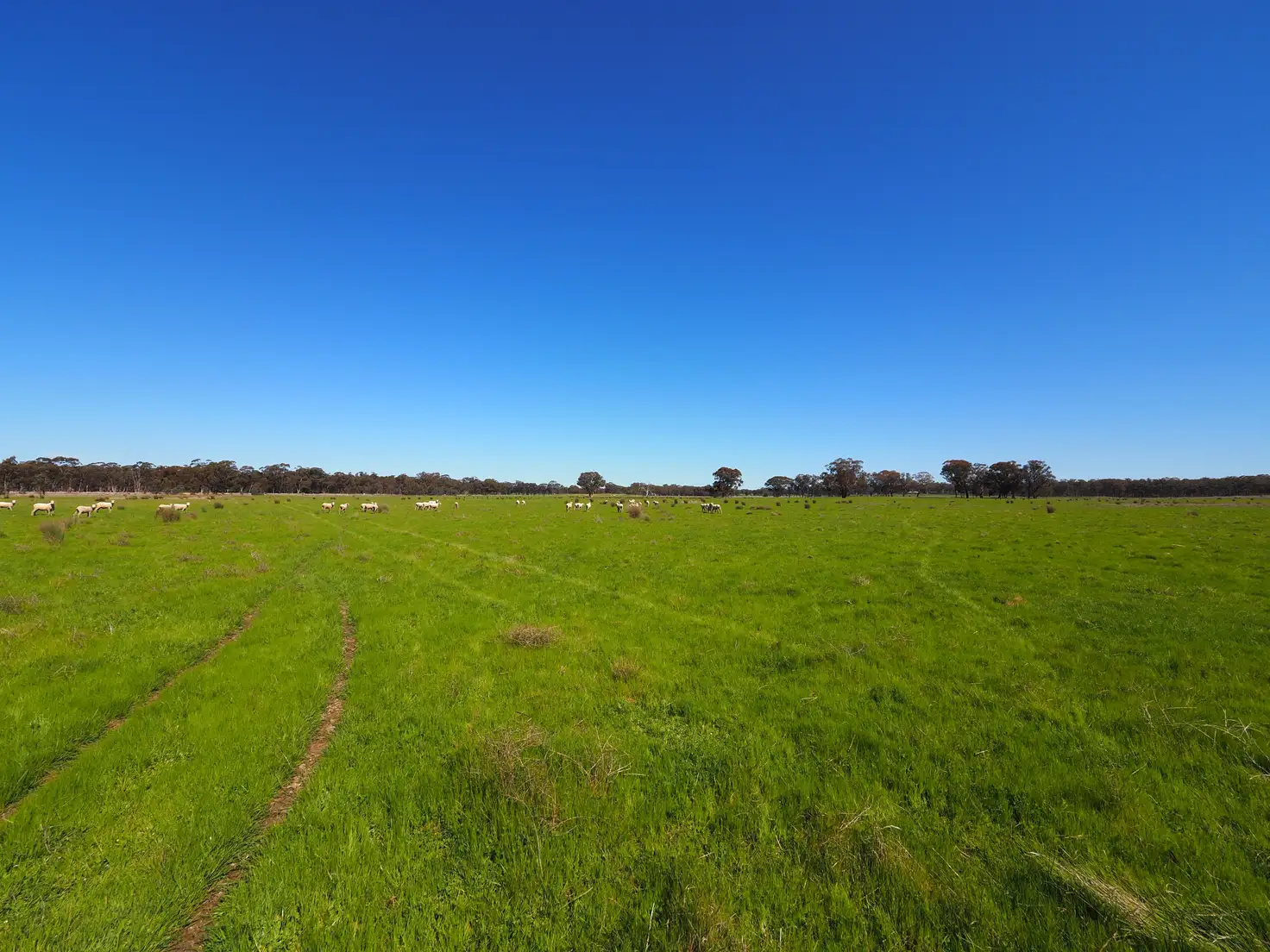 Main view of Homely land listing, 97 Walkers Road, Alma VIC 3465