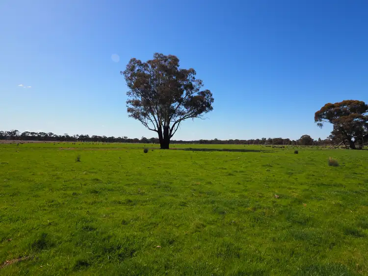 Third view of Homely land listing, 97 Walkers Road, Alma VIC 3465