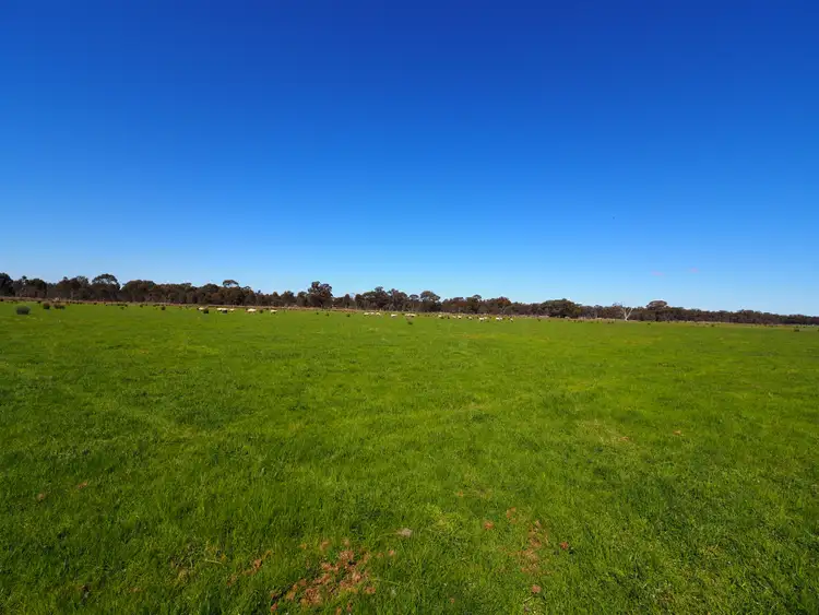 Fifth view of Homely land listing, 97 Walkers Road, Alma VIC 3465