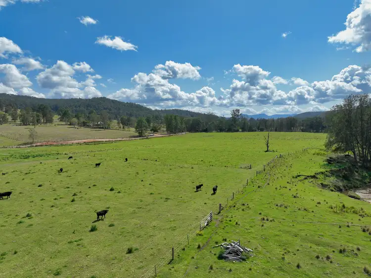 Third view of Homely rural property listing, 544 Duck Creek Road, Duck Creek NSW 2469